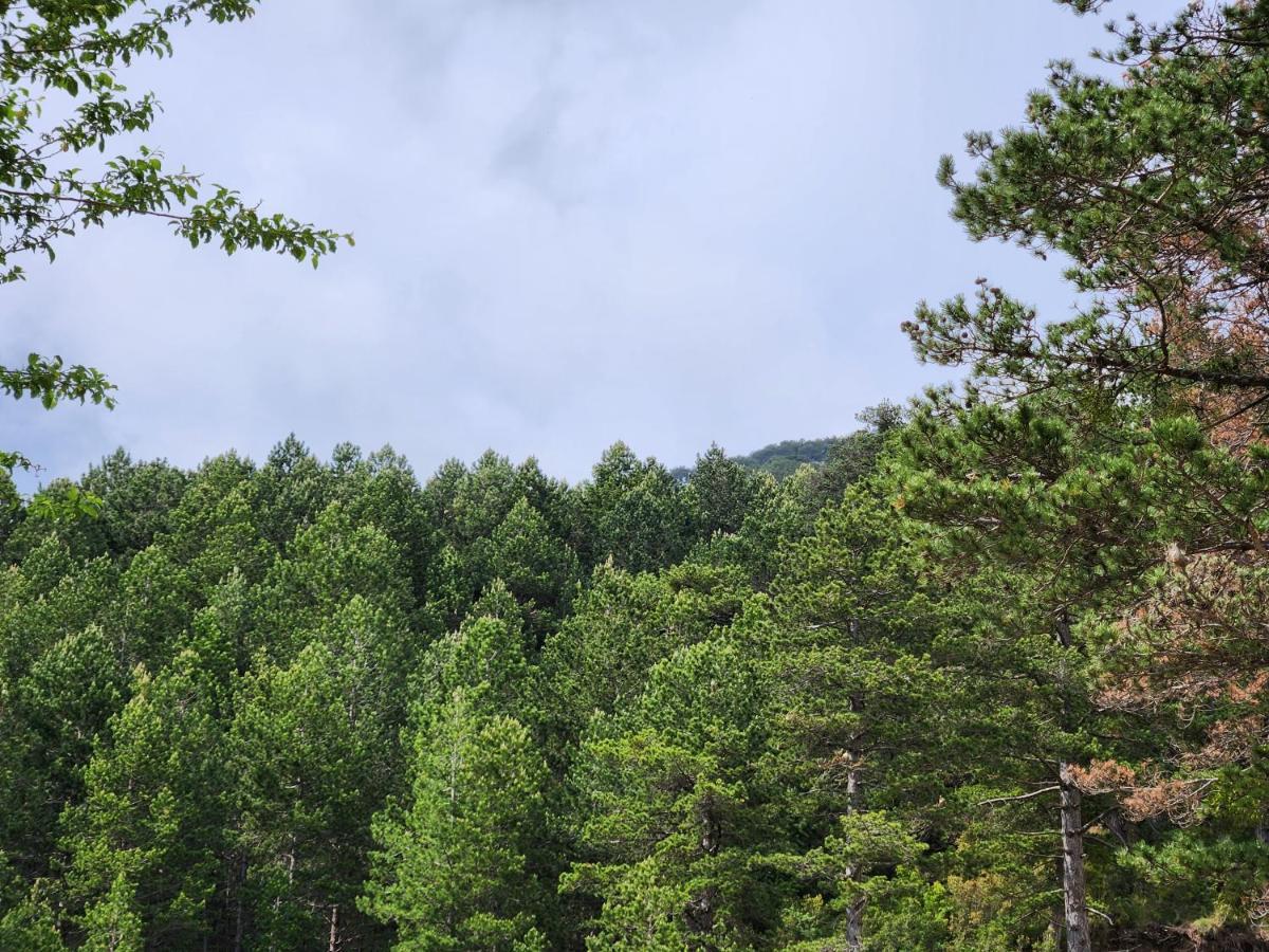 Llogora Dervishaliu Hotel Llogara National Park Εξωτερικό φωτογραφία