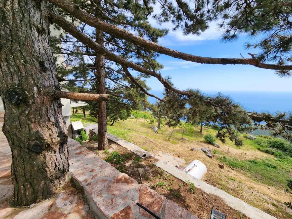 Llogora Dervishaliu Hotel Llogara National Park Εξωτερικό φωτογραφία