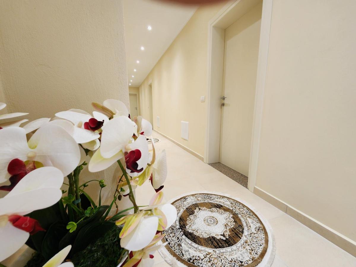 Llogora Dervishaliu Hotel Llogara National Park Εξωτερικό φωτογραφία